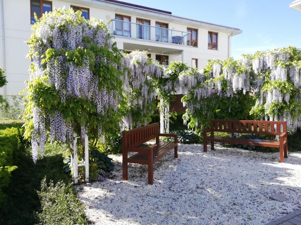 Apartament Jasminowy Shiraz グディニャ エクステリア 写真